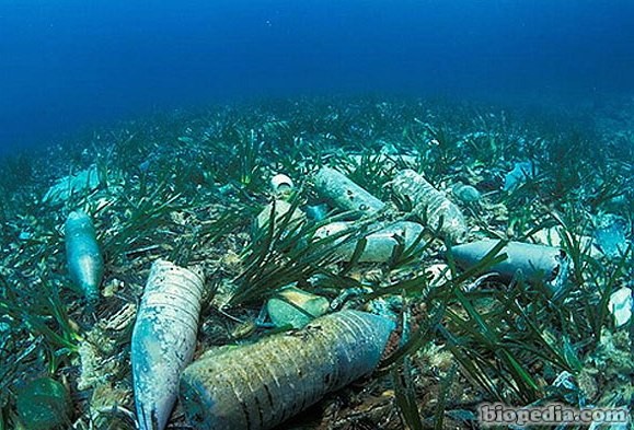 La imagen tiene un atributo ALT vacío; su nombre de archivo es contaminacion-oceanos.jpg